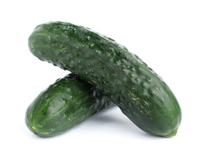 cucumber isolated