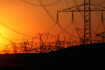 forest of transmission towers over horizon during sunset