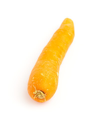 carrot