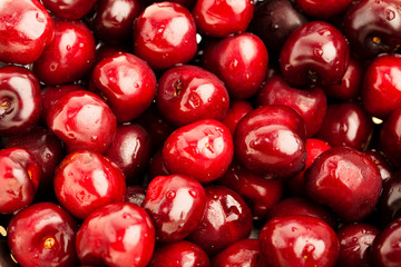cherry closeup