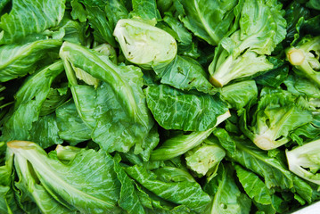 Many of small lettuce in Thailand fresh market