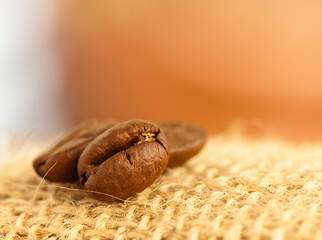 Fototapeta premium coffee beans