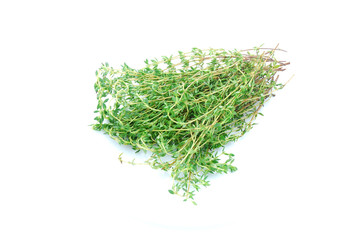 Fresh thyme herb
