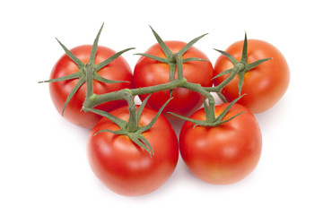 tomates en grappe