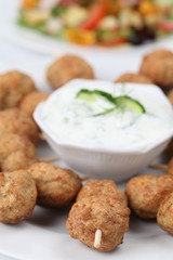 Kebab with tzatziki