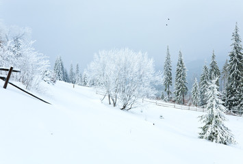winter country mountain landscape
