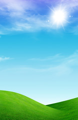 Obraz premium field of grass and perfect sky