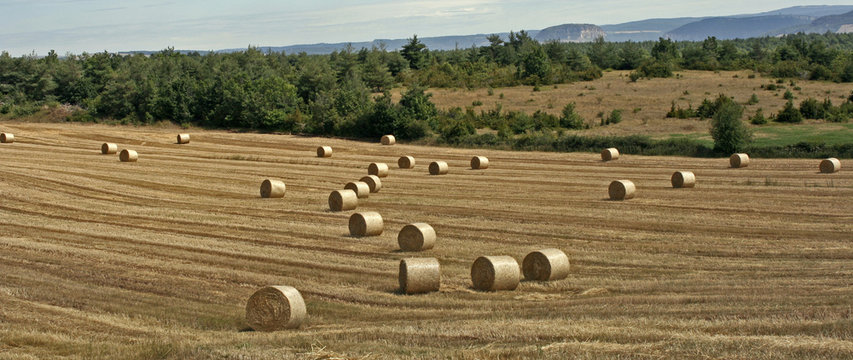 Apr&egrave;s la moisson