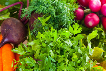 garden radish, carrots and beet.