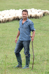 Shepherd standing in green field with sheeps