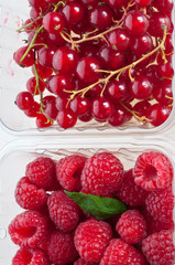 Beautiful raspberries