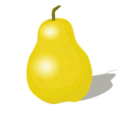 vector illustration with pear