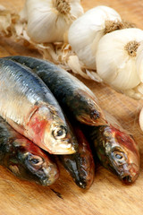frische Sardinen auf einem Holzbrett
