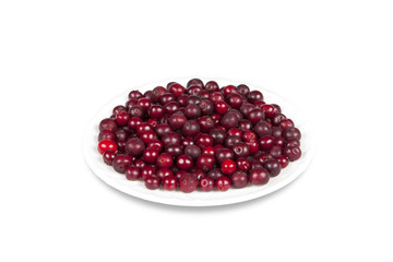Saucer with berries cranberries