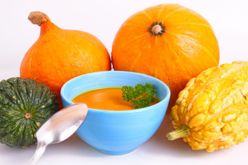 gem&uuml;sesuppe,k&uuml;rbissuppe