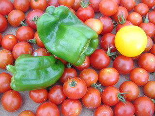 legume