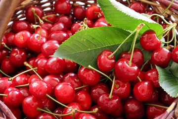 fresh red cherry with green leaf