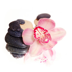 spa stones with pink orchid