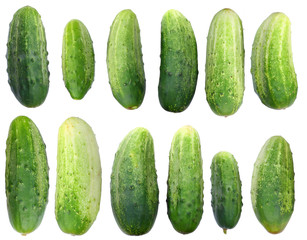 Fresh isolated cucumbers set