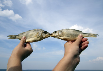 Two hands keeps  fish on background sky