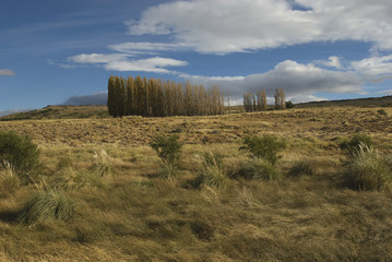 pampa landscape (patagonia - argentina)