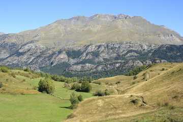 Fototapeta na wymiar Cochata górskich w dolinie Tena, Pireneje