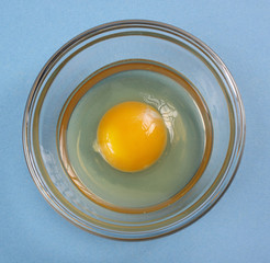egg in a bowl