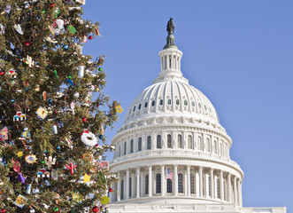 Christmas Tree at the Capitol Building