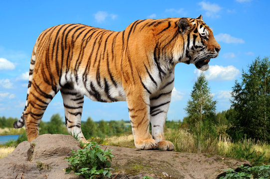 Zoo 170