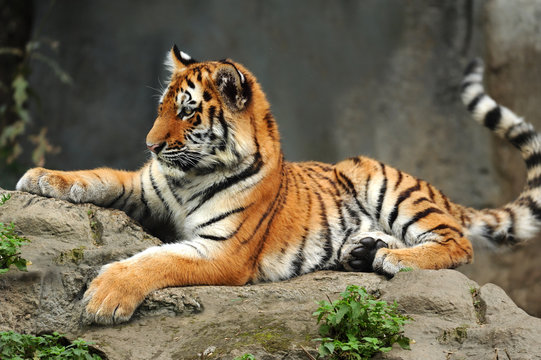 Zoo 167