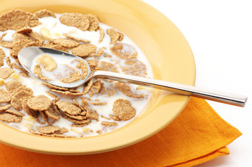 Breakfast cereal with milk