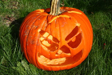 Obraz premium halloween kürbis