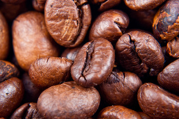coffee beans close up