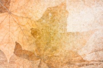 Fototapeta premium Autumn background in retro style with yellow leaves