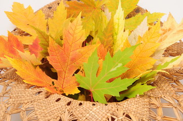 Autumn colors