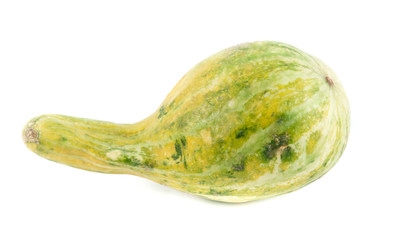 Pumpkin from Latin America