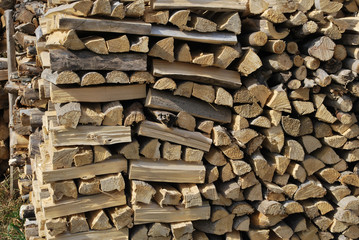 Firewood