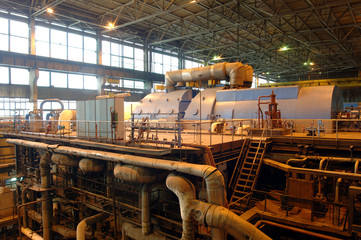 plant's energy plant