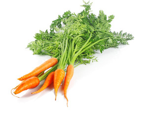 Bunch of fresh carrots