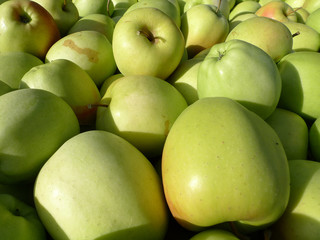 apfel