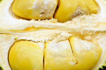Durian fruit