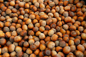Hazelnuts