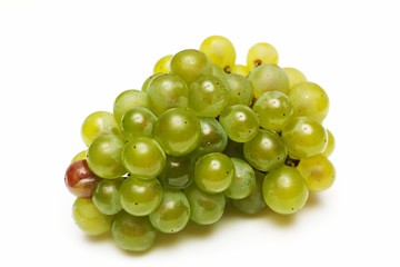 Wine grapes