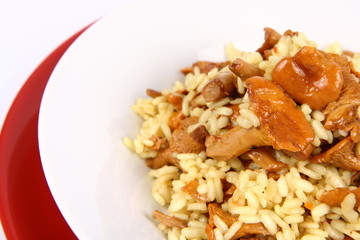 Risotto with mushrooms on a plate and a fork
