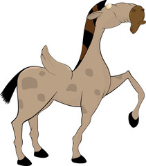Pegas, horse with wings