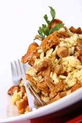 Risotto with mushrooms decorated with parsley and a fork