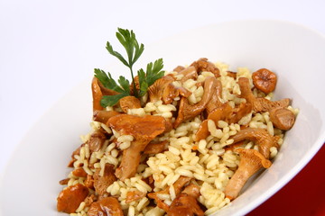 Risotto with mushrooms on a plate decorated with parsley