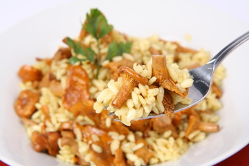 Risotto with mushrooms with parsley being eaten with a fork