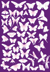 pink butterfly silhouettes collection