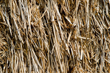 straw, hay background
